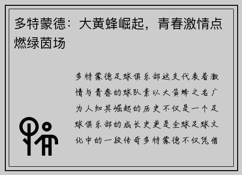 多特蒙德：大黄蜂崛起，青春激情点燃绿茵场