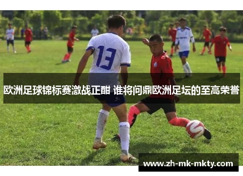 欧洲足球锦标赛激战正酣 谁将问鼎欧洲足坛的至高荣誉