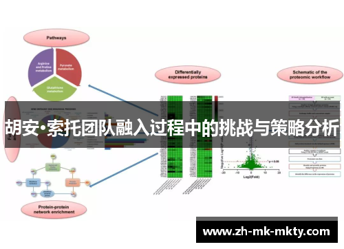 胡安·索托团队融入过程中的挑战与策略分析